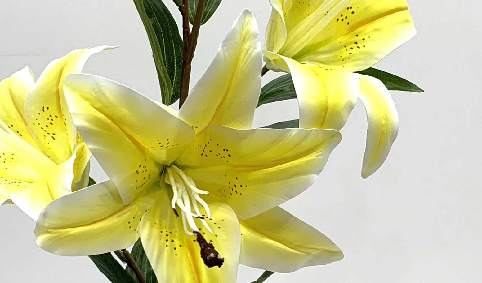 Long - Lasting Multiple Color Artificial Lilies With 3 Flowers And 2 Buds 98 CM