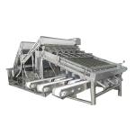 1Ton-5Ton Fish / Shrimp Grading Machine Shrimp/Fish Sorting MachineHigh Sorting