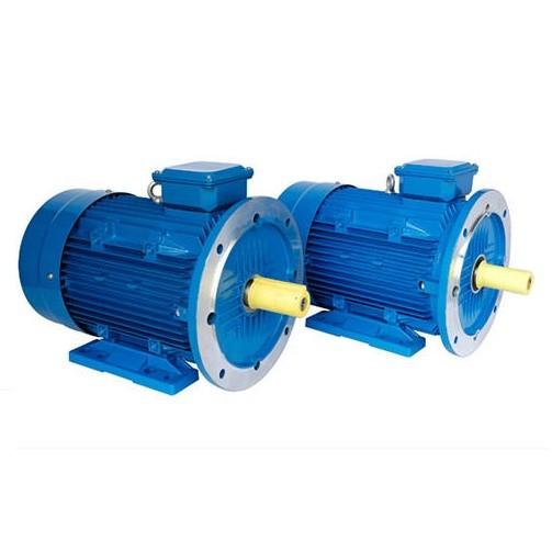 Cheap Variable Speed Brushless Permanent Magnet Motor 380V Self Sensing Operation for sale