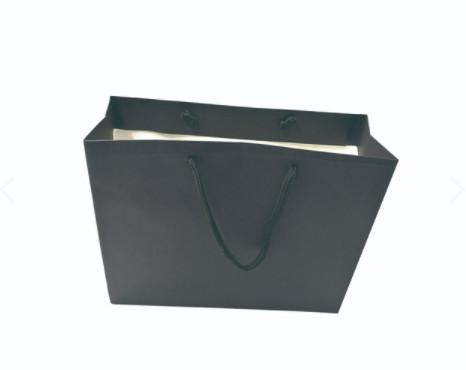 Cheap Clothes Shopping Paper Packaging Bags Branded Paper Bag With String Handle for sale