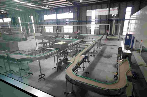 Cheap Can Or Glass Jar Conveyor For Empty Or Filled Tin Cans Sizes From 70g To 3Kg Capacity Or Speed From 50 CPM To 600 CPM for sale