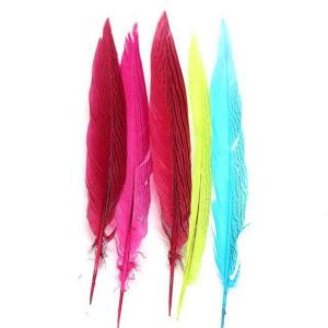 Best Shipping Worldwide Silver Pheasant Feather for Carnival Costumes and Party Decoration wholesale