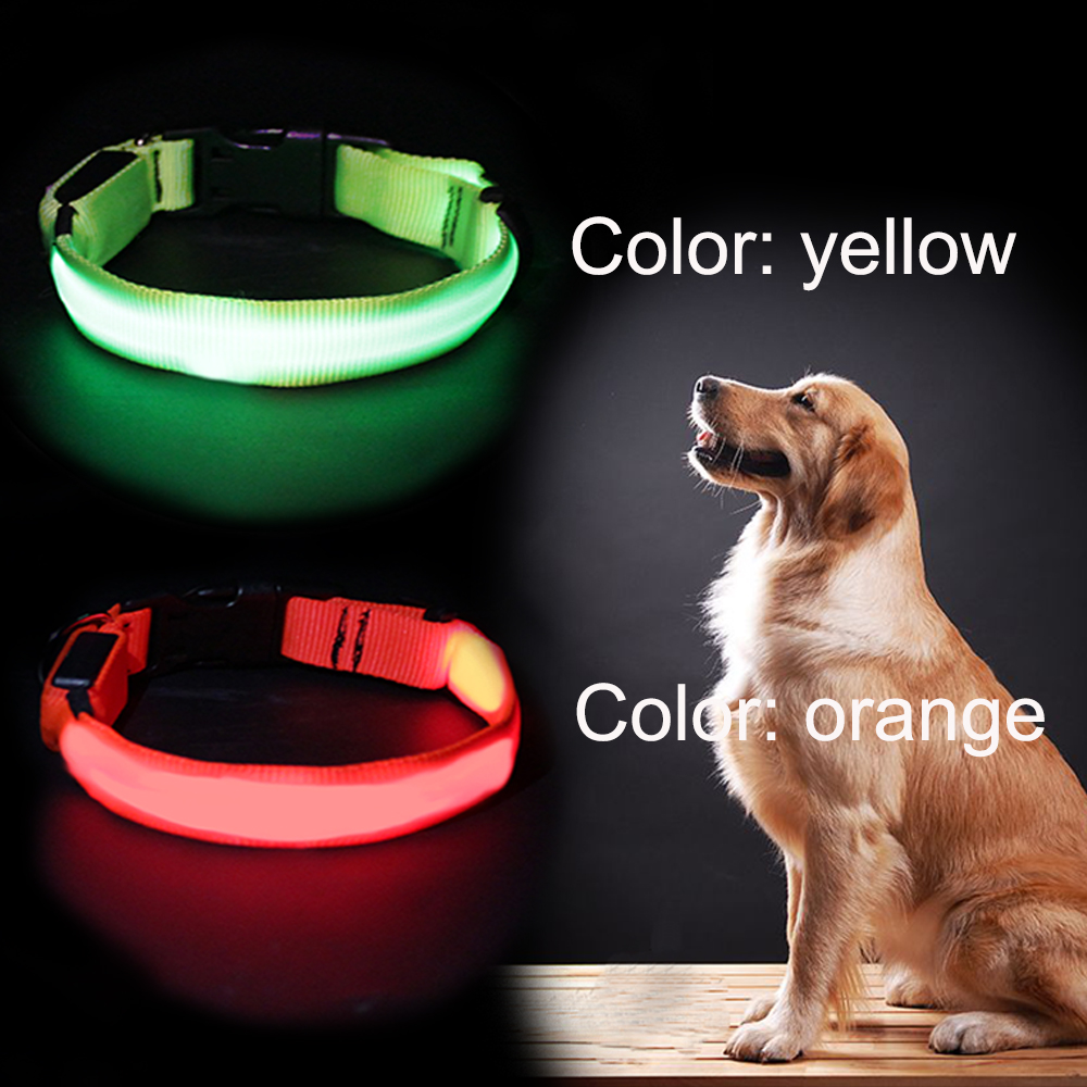 C906 Hot sale Led Popular Blinking Best Flashing Dog Collar