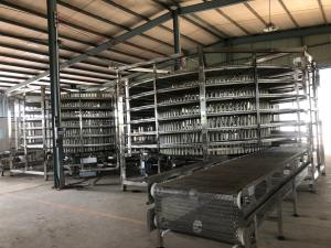 China                  Automatic Bakery Machine Bread Spiral Cooling Tower Conveyor Price              on sale