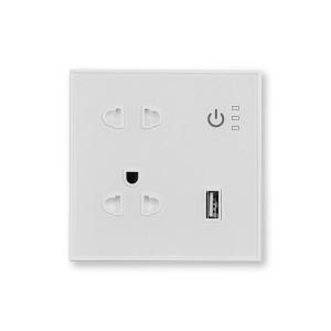 Best 1 Usb 2 Jacks Tuya Smart Wall Plug Socket Vietnam White Customizable Support Amazon Alexa Voice Connection wholesale