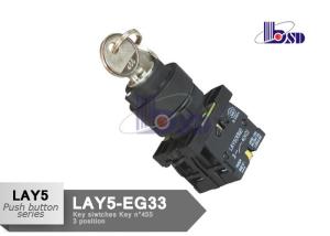 Best Stable Selector Switch 3 Position Spring Return Key Switch ROHS And UL Certified wholesale