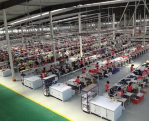 Yantai Maxwell Internaitonal Trading Co.,ltd
