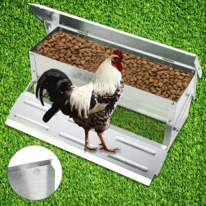 Best 16.4L anti rust Automatic Chicken Feeder Timer wholesale