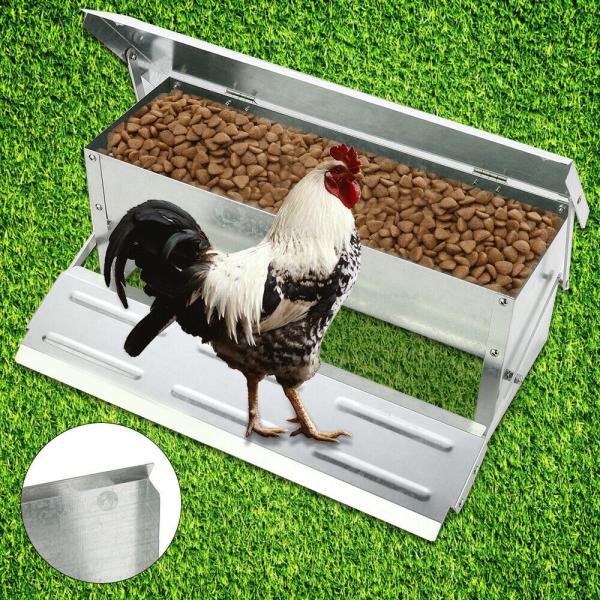 Cheap Solid Construction L51cm Automatic Chicken Feeder Timer for sale