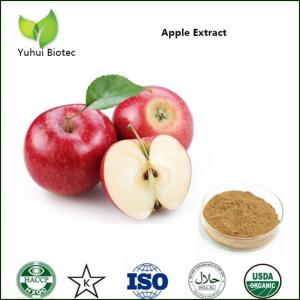 Best apple extract,green apple extract,green apple extract,apple polyphenols extract wholesale
