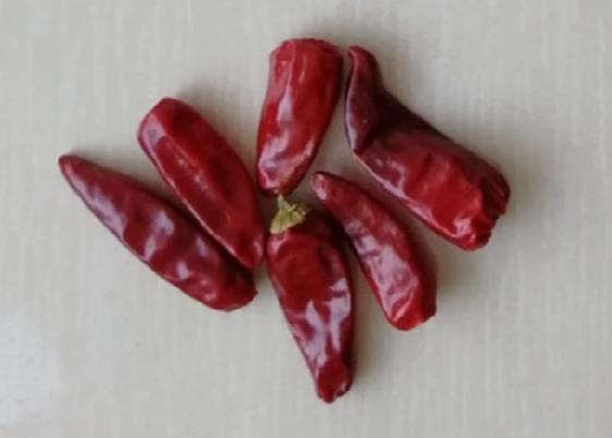 Cheap Chaotian Round Dried Red Chillies 6CM 30000SHU Whole Chilli Pods for sale