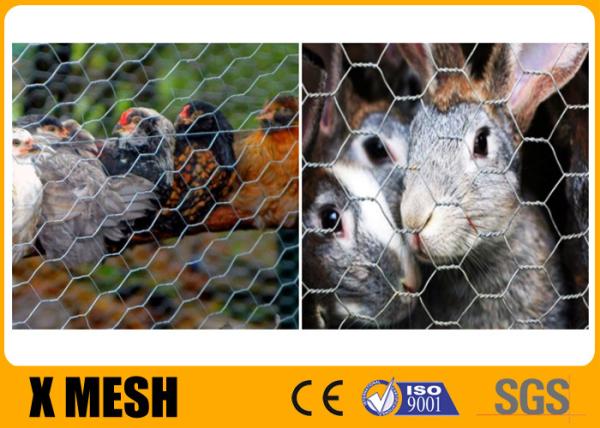 Cheap 20 Ga rabbit chicken wire mesh Hexagonal Poultry Netting 3/4" acid proof for sale