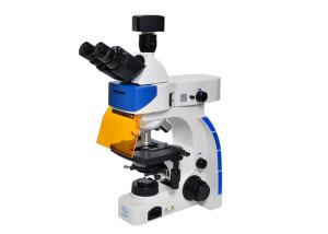 LED Trinocular Upright Fluorescence Microscope with B & G Fluorescence Filter