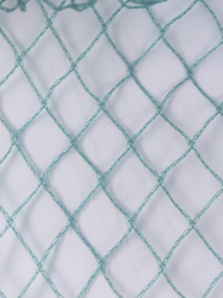 Cheap Diamond Mesh Anti Bird Netting , HDPE Fruit Tree Bird Netting , Green for sale