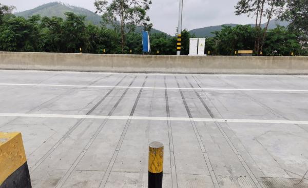 Cheap Quartz Dynamic Weighing Sensor System With High Feedback Rate for sale