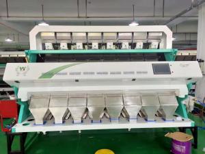 WENYAO Peeled Garlic Vegetable Sorting Machine Automatic computing