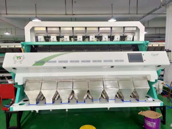 Cheap WENYAO Peeled Garlic Vegetable Sorting Machine Automatic computing for sale