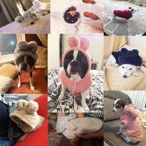 Best Winter Custom Dog Hoodies , Cold Proof Small Dog And Cat Clothes wholesale