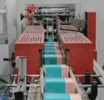 Printing Embossing Napkin Tissue Paper Converting Machine with Service