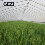 White Anti Bee Net Hail Net Hail Proof Net for Tree Crop Protection, Bird Insect