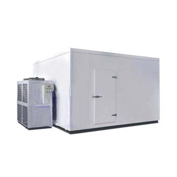 Cheap Advanced Customized Cold Storage Room Of Fruits And Vegetables For Optimal Freshness for sale