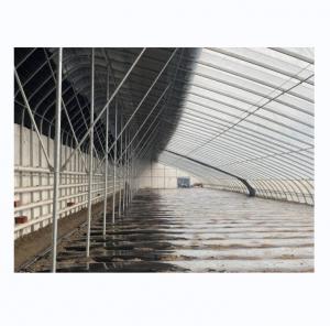 Best Solar Winter Greenhouses Warm Agricultural Greenhouse with Galvanized Steel Frame wholesale