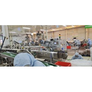 High Speed Hot Ink Roll Coder AC 220V 300 PPM Coding Machine