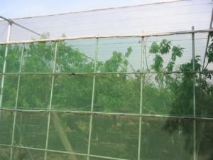 Best HDPE Monofilament Inst Mesh Netting 20 30 40 50 Mesh Count Anti Insect Proofing Net wholesale