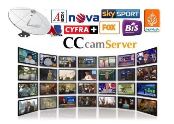 Cheap Stable Cccam Pay Server Automatically Updated With DVB - S2 Receiver for sale