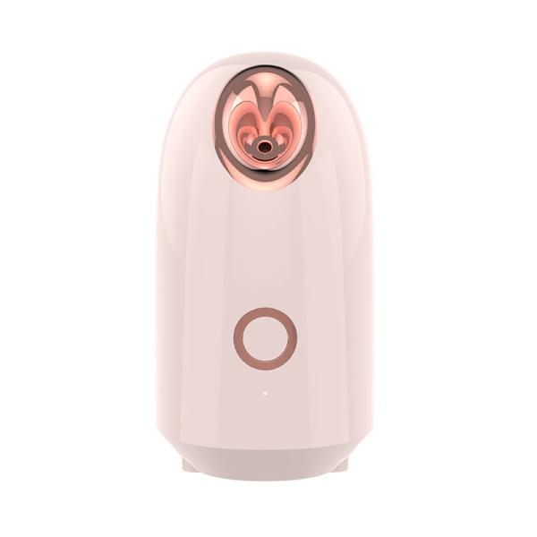 Cheap 220V Nano Ionic Facial Steamer for sale