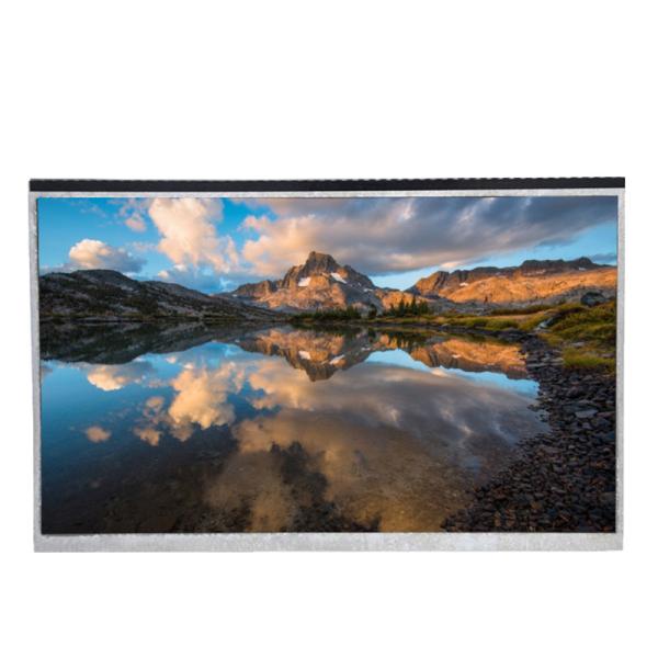 Cheap 350Cd/m2 High Brightness LCD Display 10 Inch LCD Screen for sale