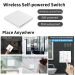 tuya Wireless Remote Control Switch controller and receiver match with tuya