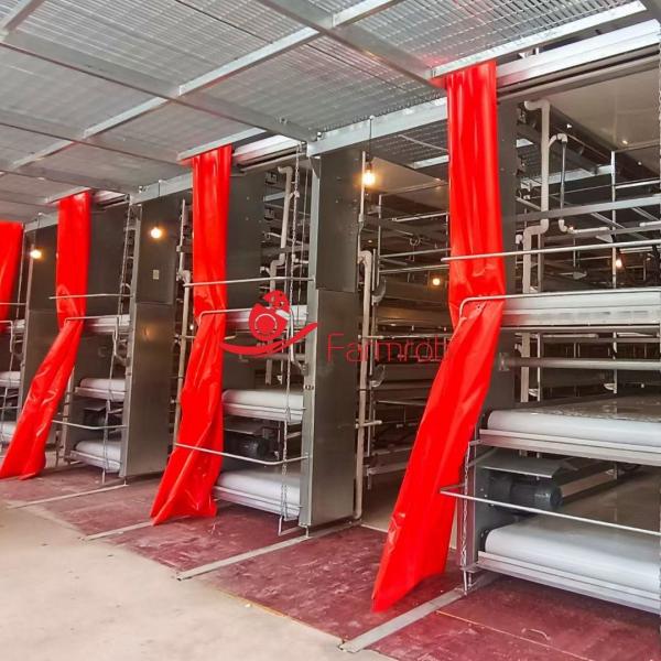 Cheap Anti-Aging Stable Operation Poultry Manure Removal System Rust Resistance for sale