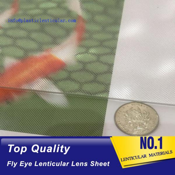 PLASTIC LENTICULAR fly eye 3d lenticular microlens array dot imaging cylindrical