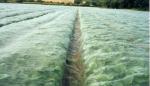 HDPE Monofilament Inst Mesh Netting 20 30 40 50 Mesh Count Anti Insect Proofing