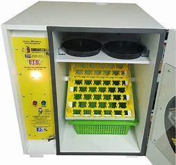 Cheap Jumbo Pigeon  Intelligent Multi Mode Automatic Incubator 672 Eggs for sale