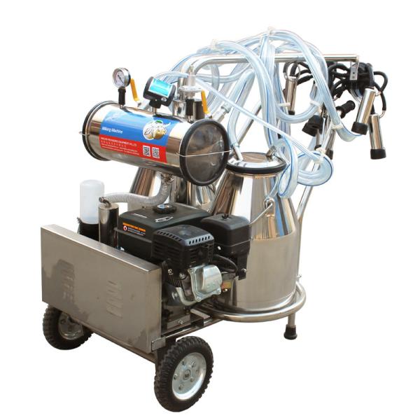 Cheap Automated Gasoline Engine Mobile Milking Machine Dairy Milking Equipment for sale