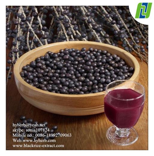 Cheap antioxidant keepling slim Natural Acai Berry Extract for sale