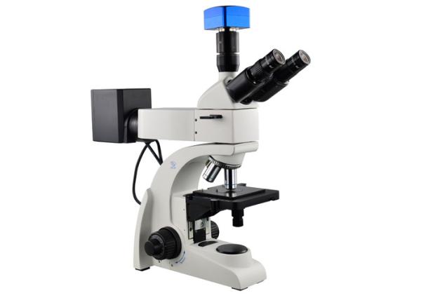 Cheap 5X Optical Metallurgical Microscope Trinocular Microscope With Digital Camera for sale