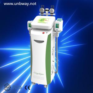China Cryolipolysis body slimming machine cryo fat reduction device on sale
