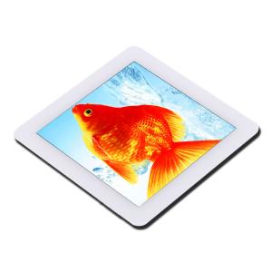 Best 3.97 Inch Pcap TFT Touch Screen Module I2c Serial Interface 4&quot; wholesale