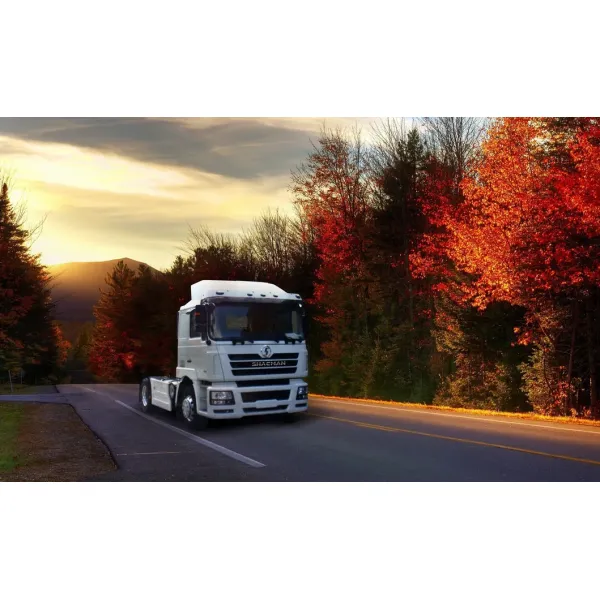 Shacman Tractor Truck with 6×4 Drive Type 420 HP Diesel Engine and Euro III Emission Standard