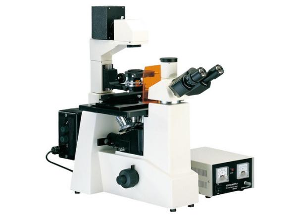 Cheap XDY-1 Inverted And Reflected Fluorescence Microscope Long Working Distance for sale