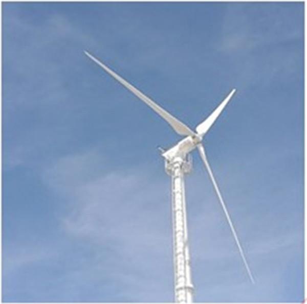 Cheap 30KW 220V Wind Turbine Generator System Wind Power Generator IP54 for sale