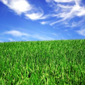 China 50mm Landscaping Synthetic Artificial Grass For Football Court on sale