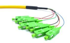 Cheap Multifiber Bundle Fiber Optic Pigtails 4 / 6 / 12 Cores SC APC G657A for sale