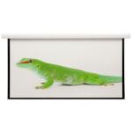 Custom Size Formatcinema Projector Screen With Remote Controller