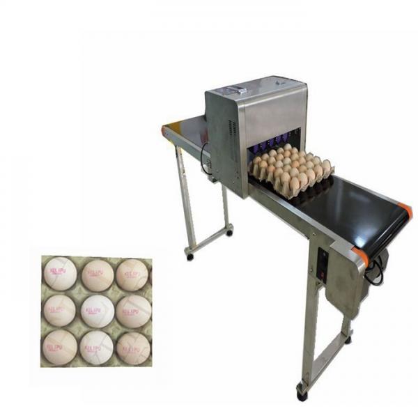 Cheap Egg Printing Machine For Spherical / Egg Jet Printer Machine Low Cost Of Consumption for sale