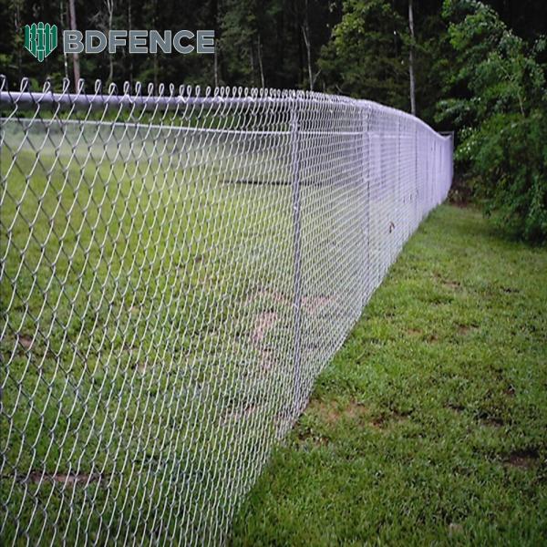 Cheap Garden Border Chain Link Fence Rodent Barrier for sale