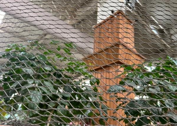 Cheap Shock Resistance Anti Climb Wire Mesh Stainless Steel Fencing Mesh for sale